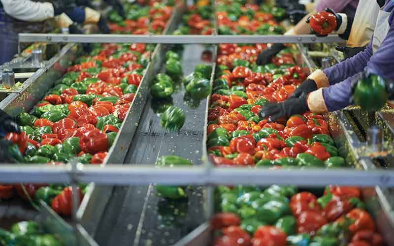 فناوری مواد غذایی